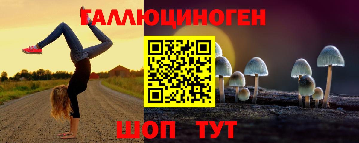 Псилоцибиновые грибы мухоморы  Вход с VPN  Великий Новгород  Галлюциногенные грибы Psilocybe 