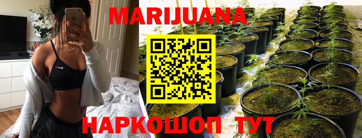 Конопля индика Великий Новгород